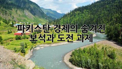 파키스탄 경제의 ✨숨겨진 보석💎과 도전 과제 🧐